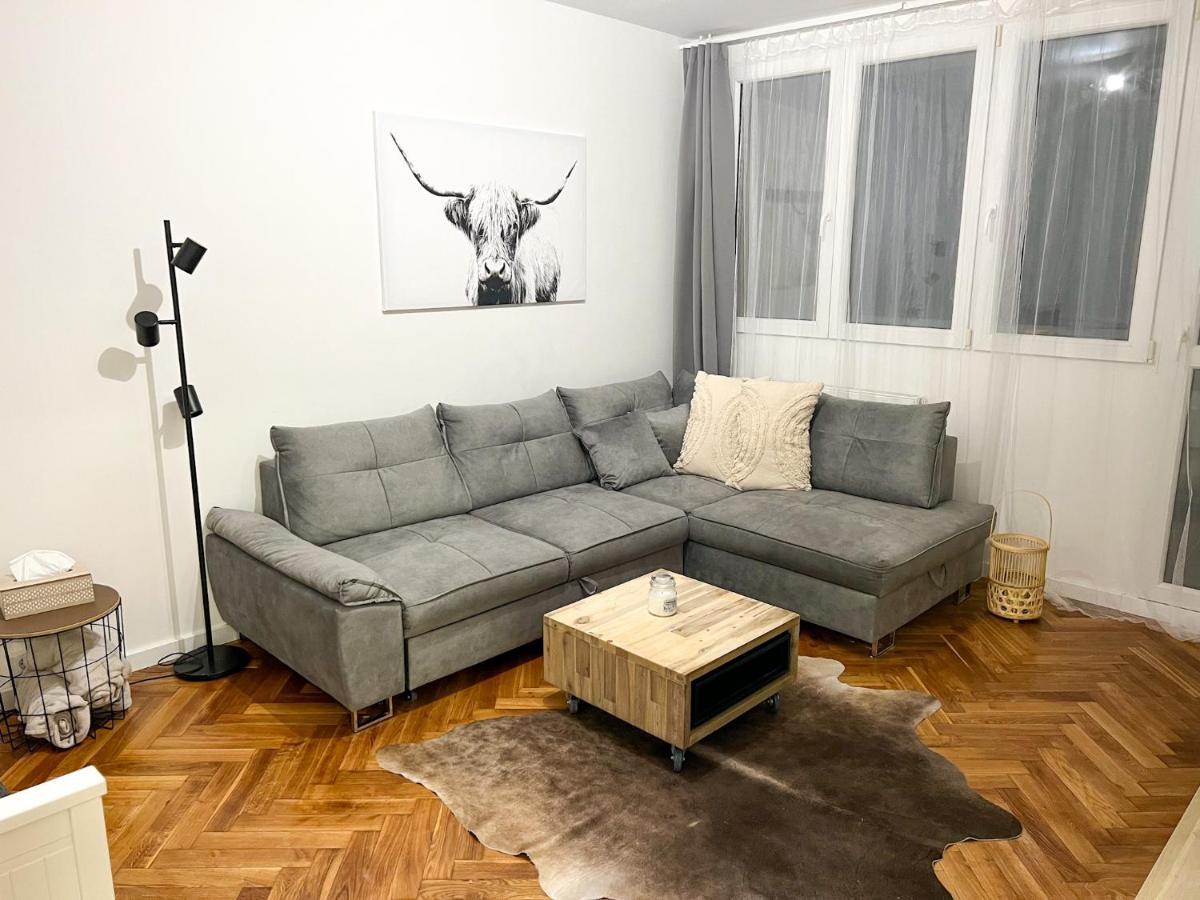 Apartman Visek Jachymov Exterior photo