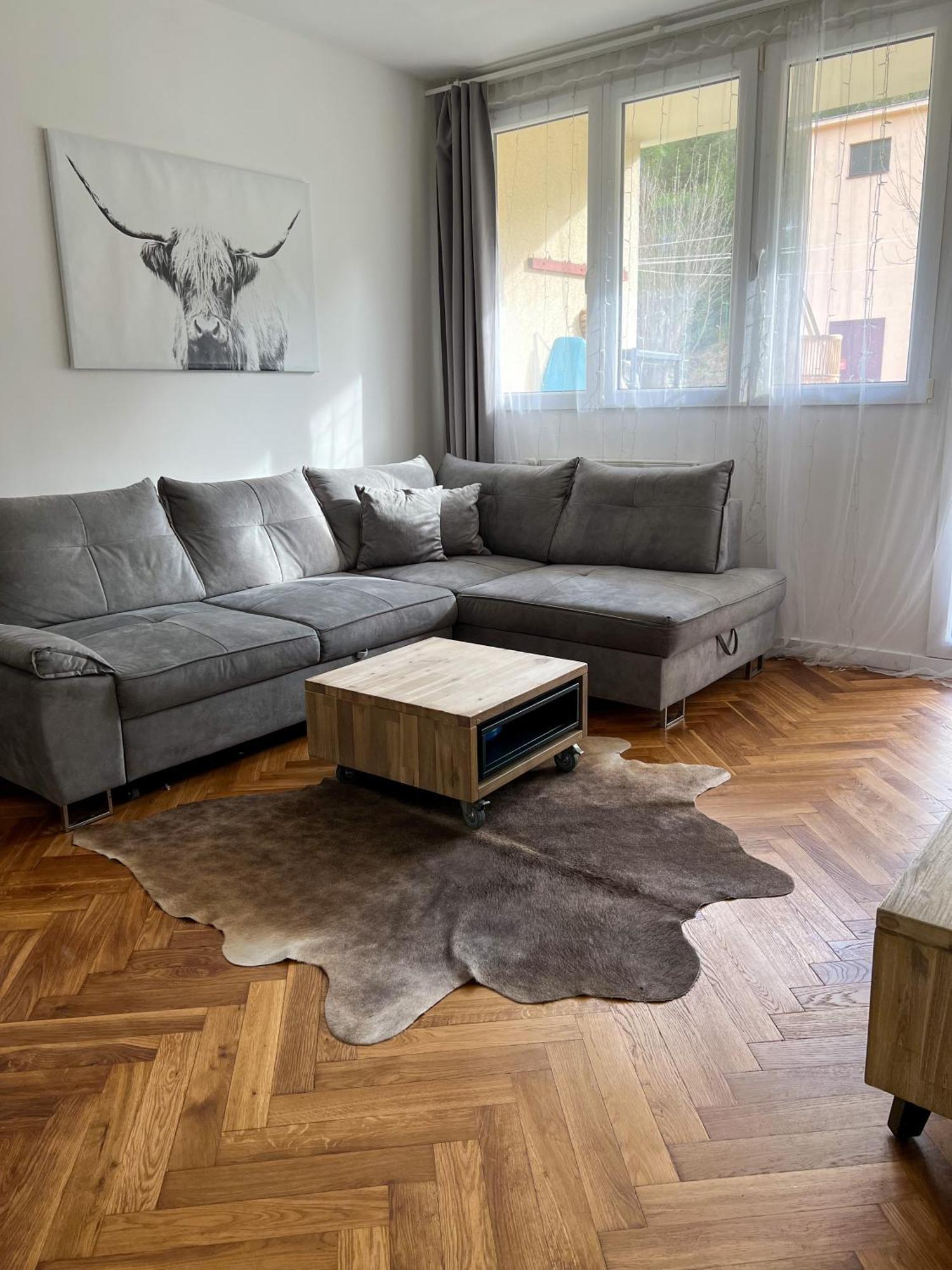Apartman Visek Jachymov Exterior photo